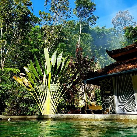 Mi Casa - The Gem Of Ijen Hotel Banyuwangi  Buitenkant foto