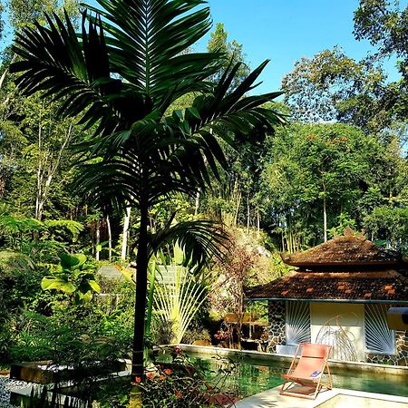 Mi Casa - The Gem Of Ijen Hotel Banyuwangi  Buitenkant foto