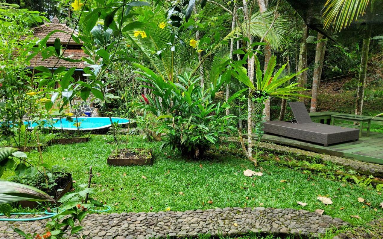 Mi Casa - The Gem Of Ijen Hotel Banyuwangi  Buitenkant foto