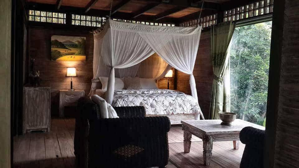 Mi Casa - The Gem Of Ijen Hotel Banyuwangi  Buitenkant foto
