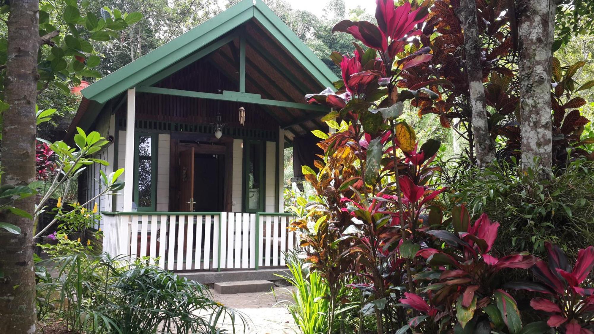 Mi Casa - The Gem Of Ijen Hotel Banyuwangi  Buitenkant foto