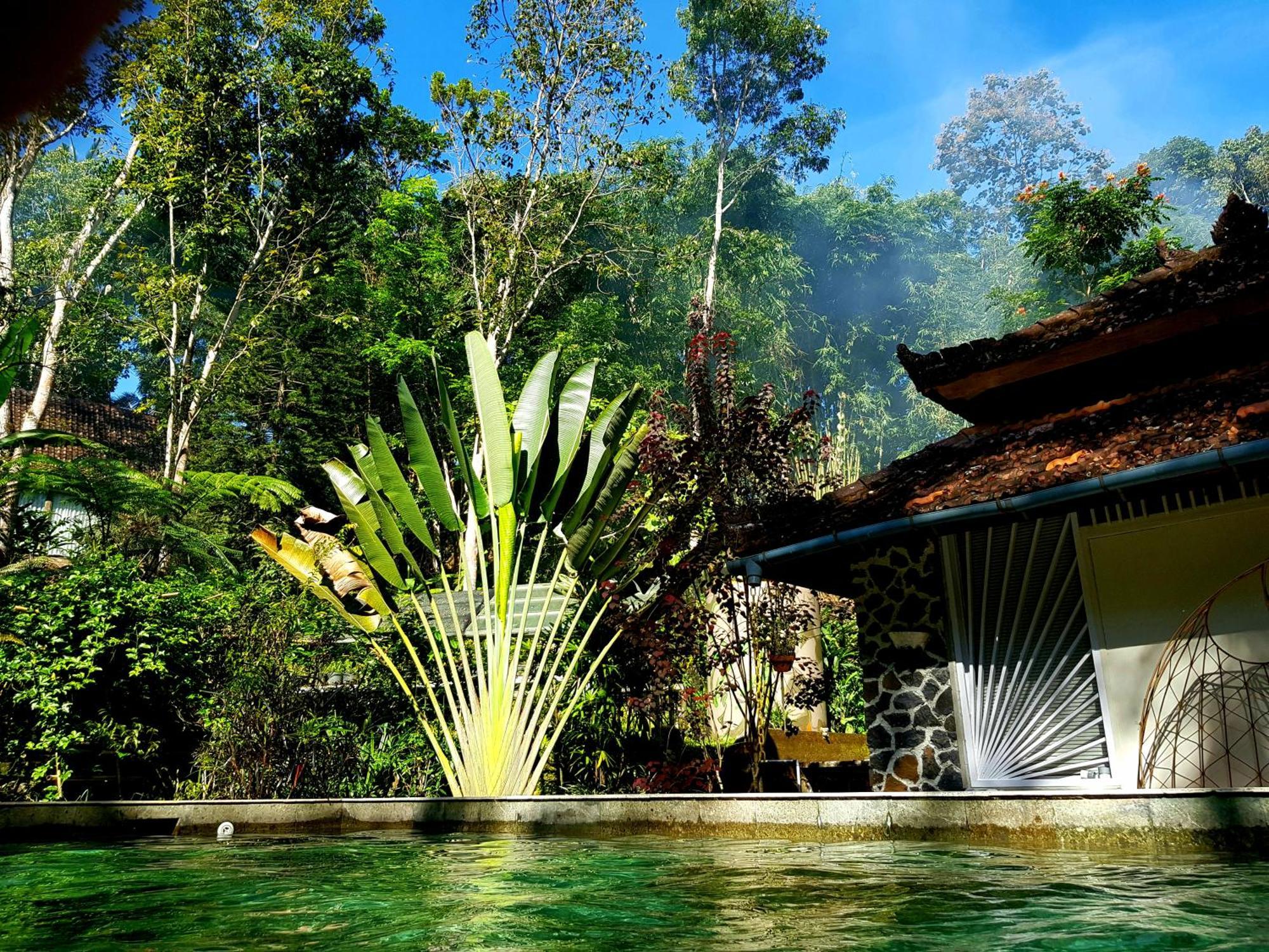 Mi Casa - The Gem Of Ijen Hotel Banyuwangi  Buitenkant foto