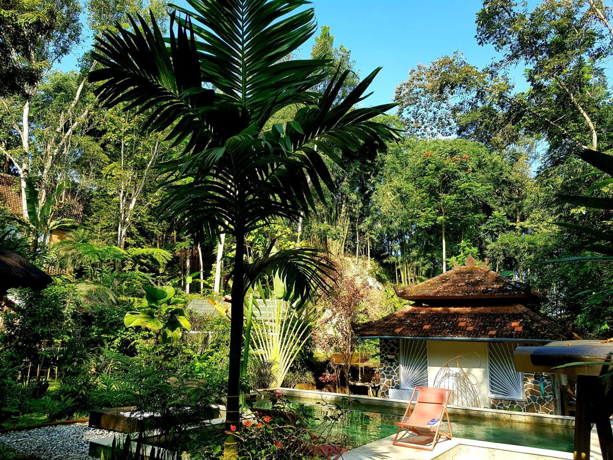 Mi Casa - The Gem Of Ijen Hotel Banyuwangi  Buitenkant foto