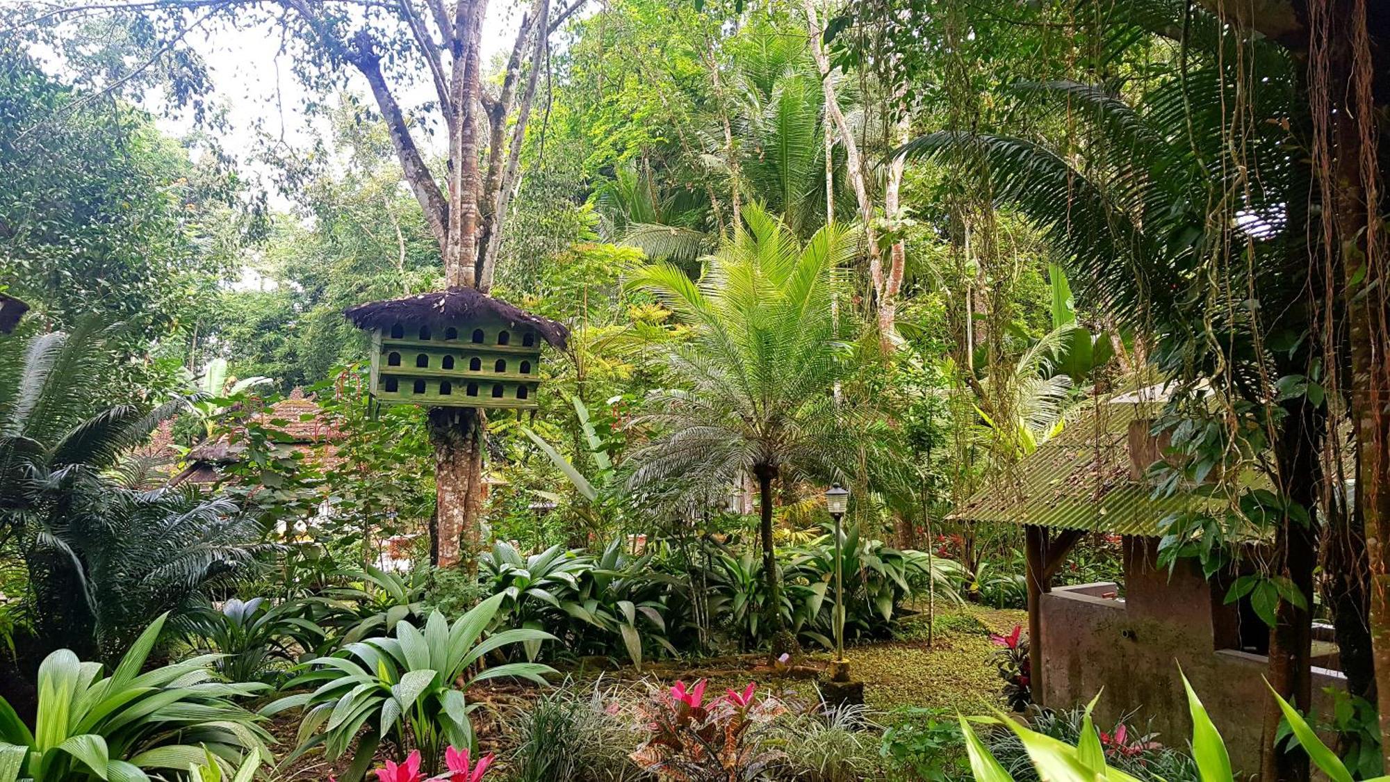 Mi Casa - The Gem Of Ijen Hotel Banyuwangi  Buitenkant foto