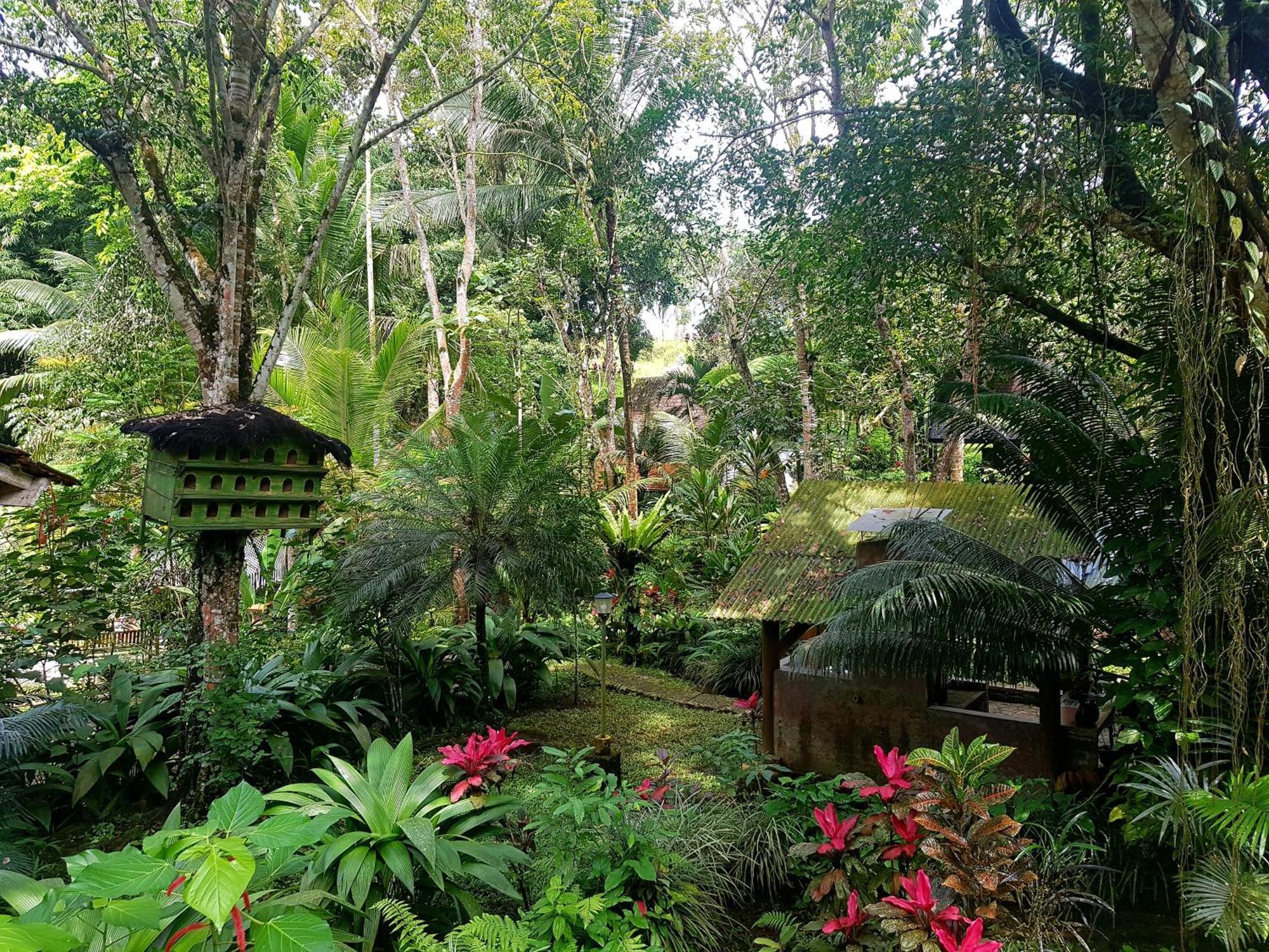 Mi Casa - The Gem Of Ijen Hotel Banyuwangi  Buitenkant foto