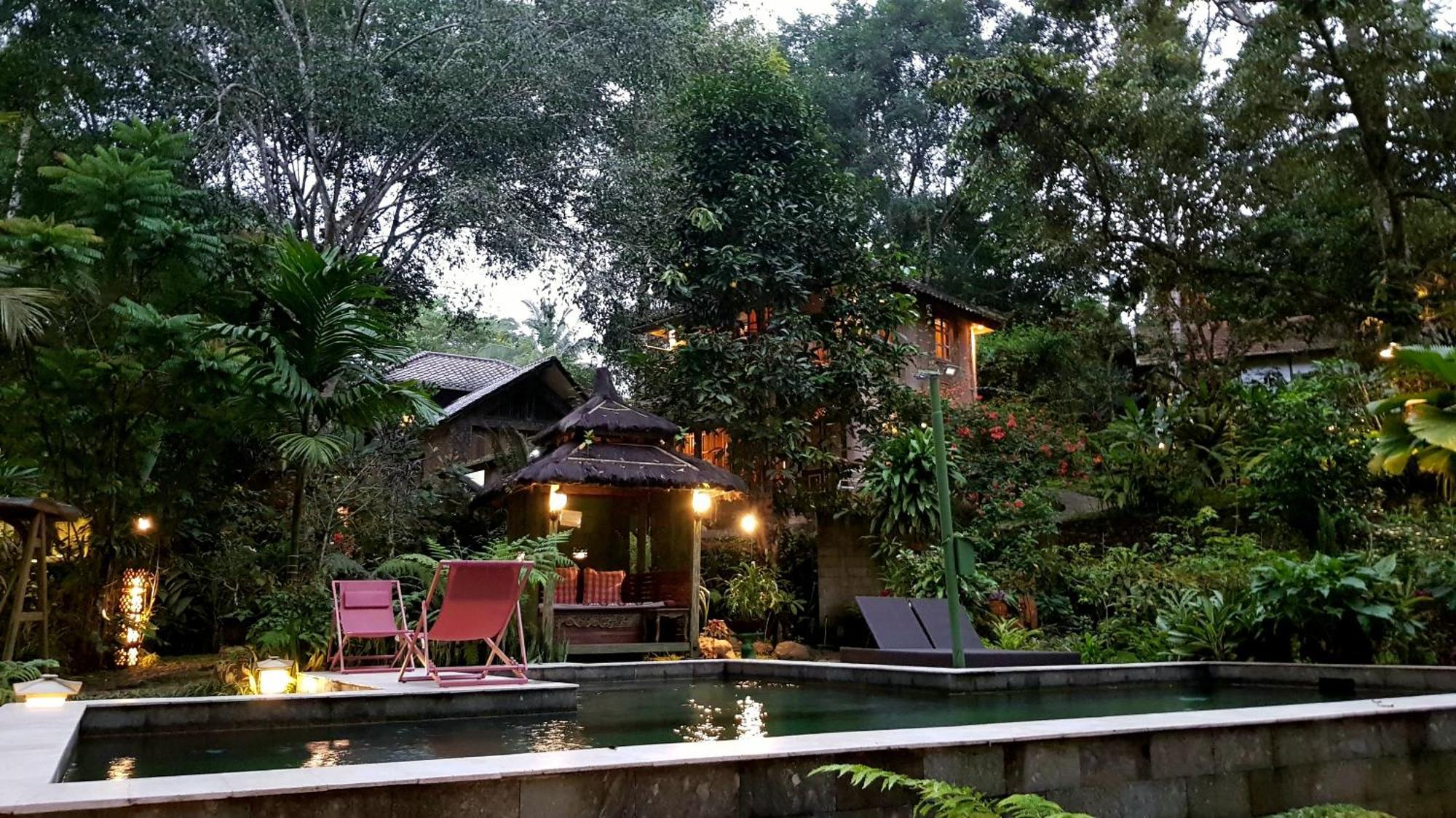Mi Casa - The Gem Of Ijen Hotel Banyuwangi  Buitenkant foto