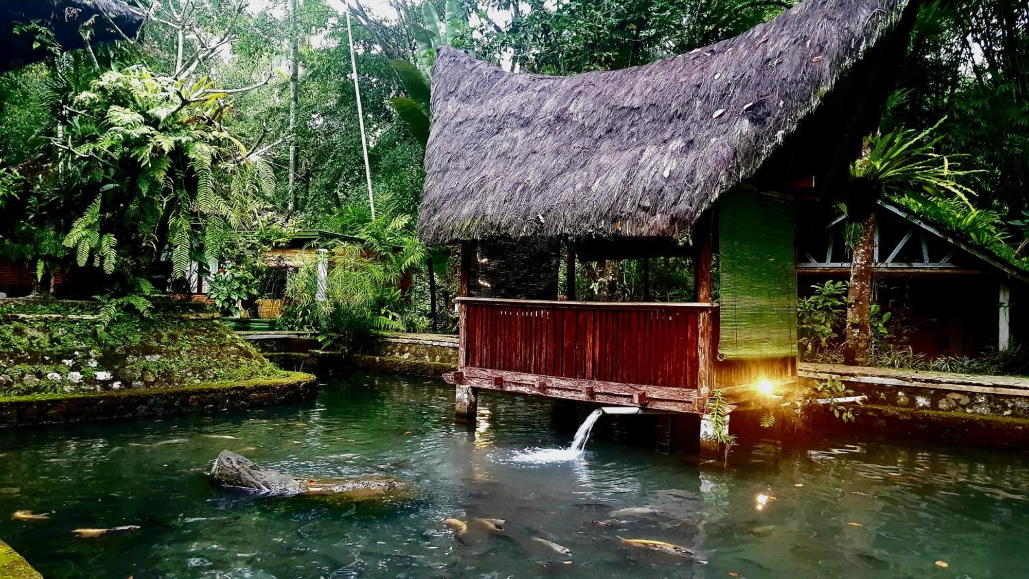 Mi Casa - The Gem Of Ijen Hotel Banyuwangi  Buitenkant foto