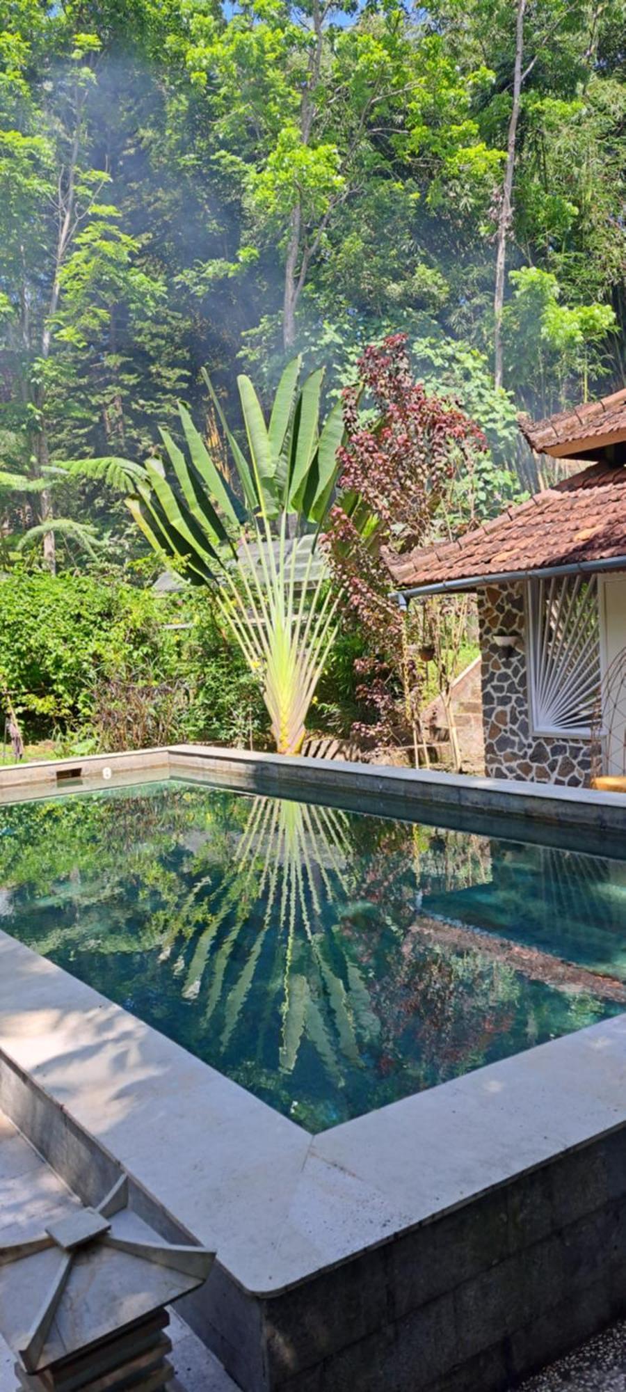 Mi Casa - The Gem Of Ijen Hotel Banyuwangi  Buitenkant foto